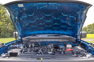 Ford Bronco Hood Struts - Rough Country - Hydraulic - '21-'25